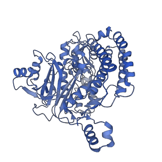 14535_7z7r_C_v1-2
Complex I from E. coli, LMNG-purified, Apo, Open-ready state