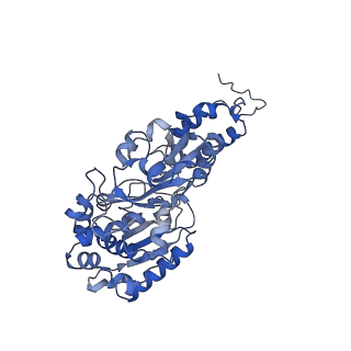 14535_7z7r_F_v1-2
Complex I from E. coli, LMNG-purified, Apo, Open-ready state
