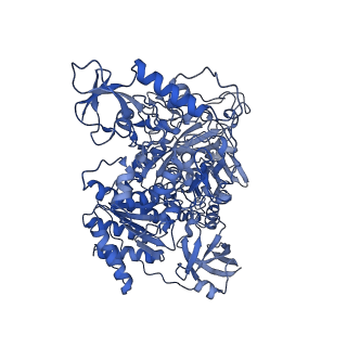 14535_7z7r_G_v1-2
Complex I from E. coli, LMNG-purified, Apo, Open-ready state