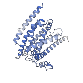 14535_7z7r_H_v1-2
Complex I from E. coli, LMNG-purified, Apo, Open-ready state