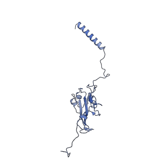 14535_7z7r_I_v1-2
Complex I from E. coli, LMNG-purified, Apo, Open-ready state