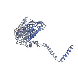 14535_7z7r_L_v1-2
Complex I from E. coli, LMNG-purified, Apo, Open-ready state