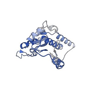 14537_7z7t_B_v1-2
Complex I from E. coli, LMNG-purified, under Turnover at pH 6, Open state