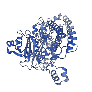 14537_7z7t_C_v1-2
Complex I from E. coli, LMNG-purified, under Turnover at pH 6, Open state