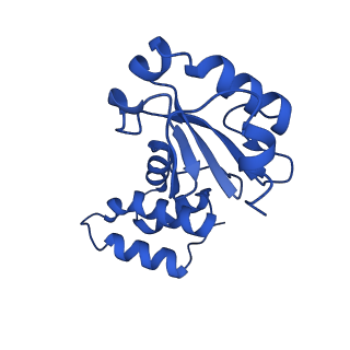 14537_7z7t_E_v1-2
Complex I from E. coli, LMNG-purified, under Turnover at pH 6, Open state