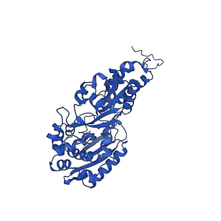 14537_7z7t_F_v1-2
Complex I from E. coli, LMNG-purified, under Turnover at pH 6, Open state