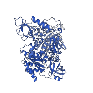 14537_7z7t_G_v1-2
Complex I from E. coli, LMNG-purified, under Turnover at pH 6, Open state