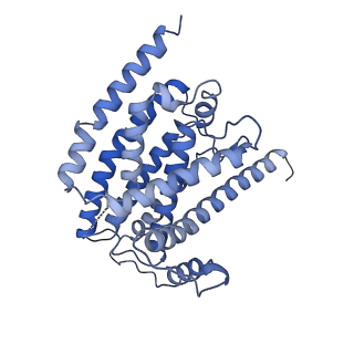 14537_7z7t_H_v1-2
Complex I from E. coli, LMNG-purified, under Turnover at pH 6, Open state