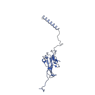 14537_7z7t_I_v1-2
Complex I from E. coli, LMNG-purified, under Turnover at pH 6, Open state