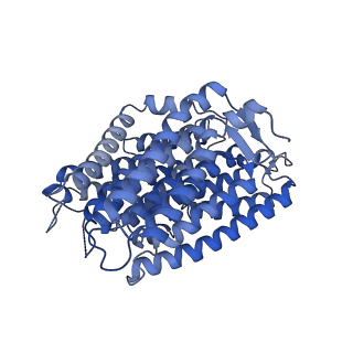 14537_7z7t_N_v1-2
Complex I from E. coli, LMNG-purified, under Turnover at pH 6, Open state