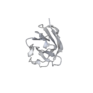 14539_7z7x_D_v1-1
CRYO-EM STRUCTURE OF SARS-COV-2 SPIKE : H11-H6 nanobody complex