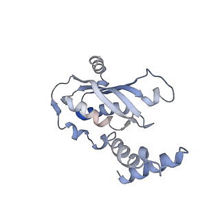 11113_6z80_A_v1-1
stimulatory human GTP cyclohydrolase I - GFRP complex