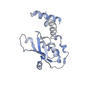 11113_6z80_C_v1-1
stimulatory human GTP cyclohydrolase I - GFRP complex