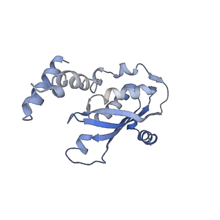 11113_6z80_D_v1-1
stimulatory human GTP cyclohydrolase I - GFRP complex