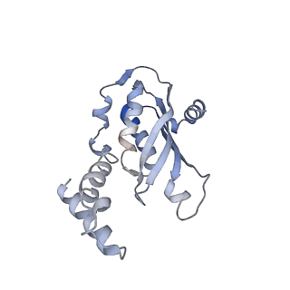11113_6z80_E_v1-1
stimulatory human GTP cyclohydrolase I - GFRP complex