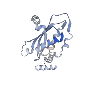 11113_6z80_F_v1-1
stimulatory human GTP cyclohydrolase I - GFRP complex