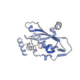 11113_6z80_G_v1-1
stimulatory human GTP cyclohydrolase I - GFRP complex