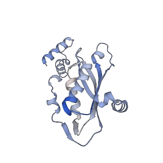 11113_6z80_H_v1-1
stimulatory human GTP cyclohydrolase I - GFRP complex