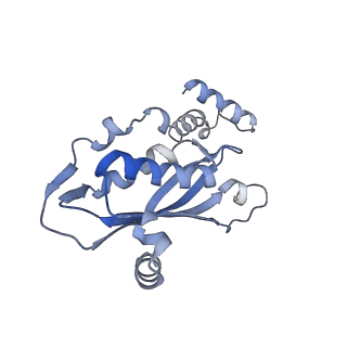 11113_6z80_I_v1-1
stimulatory human GTP cyclohydrolase I - GFRP complex