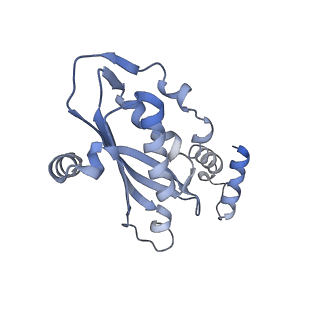 11113_6z80_J_v1-1
stimulatory human GTP cyclohydrolase I - GFRP complex