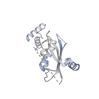 11114_6z85_D_v1-1
inhibitory human GTP cyclohydrolase I - GFRP complex