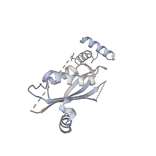 11114_6z85_E_v1-1
inhibitory human GTP cyclohydrolase I - GFRP complex