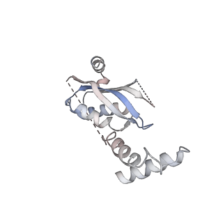 11114_6z85_J_v1-1
inhibitory human GTP cyclohydrolase I - GFRP complex