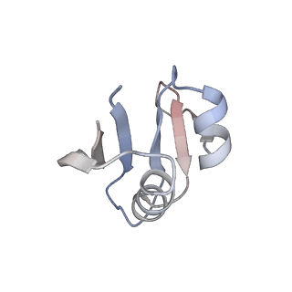 11114_6z85_K_v1-1
inhibitory human GTP cyclohydrolase I - GFRP complex