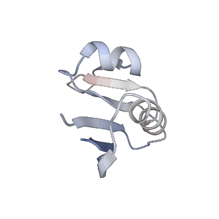 11114_6z85_O_v1-1
inhibitory human GTP cyclohydrolase I - GFRP complex