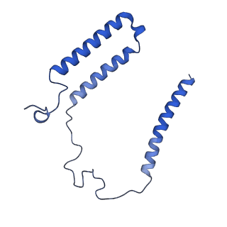 14540_7z80_A_v1-2
Complex I from E. coli, DDM/LMNG-purified, under Turnover at pH 8, Closed state