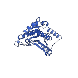 14540_7z80_B_v1-2
Complex I from E. coli, DDM/LMNG-purified, under Turnover at pH 8, Closed state