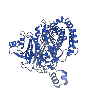 14540_7z80_C_v1-2
Complex I from E. coli, DDM/LMNG-purified, under Turnover at pH 8, Closed state