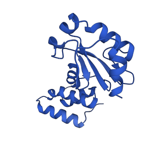 14540_7z80_E_v1-2
Complex I from E. coli, DDM/LMNG-purified, under Turnover at pH 8, Closed state