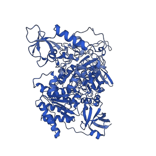 14540_7z80_G_v1-2
Complex I from E. coli, DDM/LMNG-purified, under Turnover at pH 8, Closed state