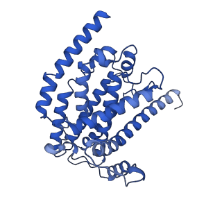 14540_7z80_H_v1-2
Complex I from E. coli, DDM/LMNG-purified, under Turnover at pH 8, Closed state