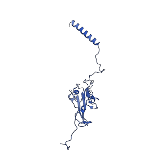 14540_7z80_I_v1-2
Complex I from E. coli, DDM/LMNG-purified, under Turnover at pH 8, Closed state