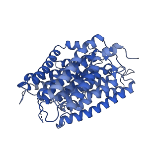 14540_7z80_N_v1-2
Complex I from E. coli, DDM/LMNG-purified, under Turnover at pH 8, Closed state