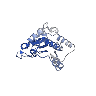 14541_7z83_B_v1-2
Complex I from E. coli, DDM/LMNG-purified, under Turnover at pH 8, Open state
