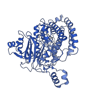 14541_7z83_C_v1-2
Complex I from E. coli, DDM/LMNG-purified, under Turnover at pH 8, Open state