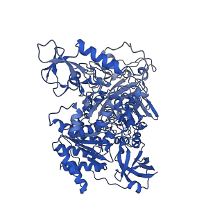 14541_7z83_G_v1-2
Complex I from E. coli, DDM/LMNG-purified, under Turnover at pH 8, Open state