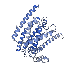 14541_7z83_H_v1-2
Complex I from E. coli, DDM/LMNG-purified, under Turnover at pH 8, Open state