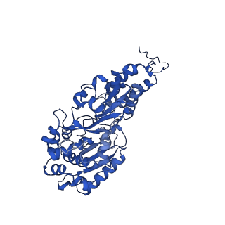 14542_7z84_F_v1-2
Complex I from E. coli, DDM/LMNG-purified, under Turnover at pH 8, Open-ready state