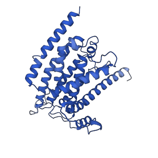 14542_7z84_H_v1-2
Complex I from E. coli, DDM/LMNG-purified, under Turnover at pH 8, Open-ready state