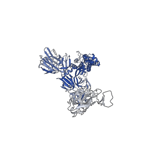14543_7z85_A_v1-1
CRYO-EM STRUCTURE OF SARS-COV-2 SPIKE : H11-B5 nanobody complex