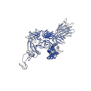 14543_7z85_B_v1-1
CRYO-EM STRUCTURE OF SARS-COV-2 SPIKE : H11-B5 nanobody complex