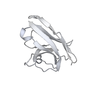 14543_7z85_F_v1-1
CRYO-EM STRUCTURE OF SARS-COV-2 SPIKE : H11-B5 nanobody complex