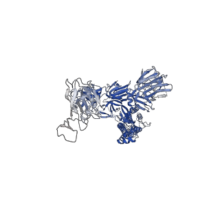 14544_7z86_A_v1-1
CRYO-EM STRUCTURE OF SARS-COV-2 SPIKE : H11-H4 Q98R H100E nanobody complex in 1Up2Down conformation