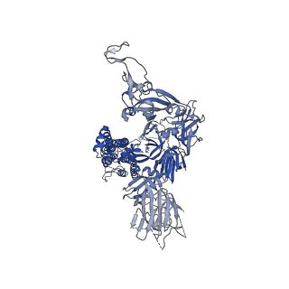 14544_7z86_B_v1-1
CRYO-EM STRUCTURE OF SARS-COV-2 SPIKE : H11-H4 Q98R H100E nanobody complex in 1Up2Down conformation