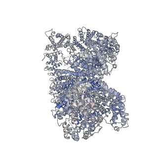 14545_7z87_A_v1-1
DNA-PK in the active state