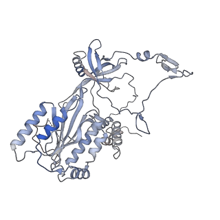 14545_7z87_B_v1-1
DNA-PK in the active state